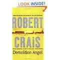 Demolition Angel