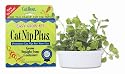 Cat-A'bout Single-Cat CatNip Plus Tub 60 grams by MiracleCorp/Gimborn
