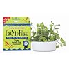 Cat-A'bout Single-Cat CatNip Plus Tub 60 grams by MiracleCorp/Gimborn
