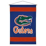 NCAA Florida Gators Sideline Wall Hanging at Amazon.com