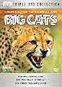 Big Cats [DVD]