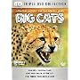 Big Cats [DVD]