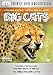 Big Cats [DVD]