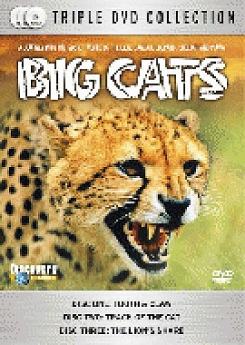 BIG CATS 3DVD