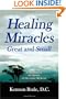 Healing Miracles Great and Small: Living Proof of the Success of Alternative Medicine