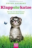 Klappohrkatze: Wie ich vom Katzenhasser zum Dosenöffner wurde