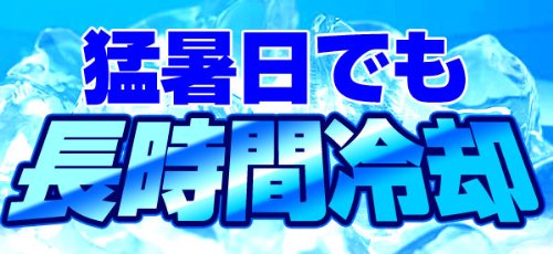 在庫限り【2008年版】クールビビ（COOL BiBi）CB-02 チェック　ホワイト