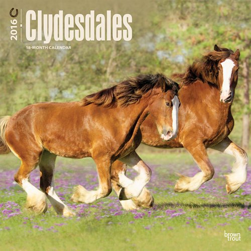 Clydesdales 2016 Square 12x12