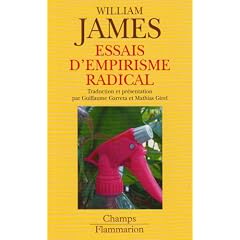Essais d'empirisme radical