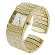 Geneva Platinum Rhinestone Accented Luxury Watch