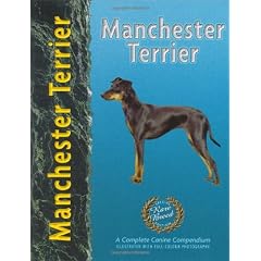 Manchester Terrier
