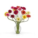 New Nearly Natural Gerber Daisy Liquid Illusion Perfect Brilliant Color Wonderful Realistic Assorted
