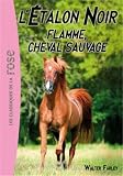 Flamme, cheval sauvage