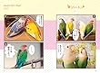 だからやめられない コザクラ・ボタンインコ生活: 漫画で楽しむ