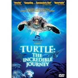 Turtle: The Incredible Journey