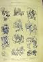 1885 Inventories Comedy Musical Jury Theatre Scenes