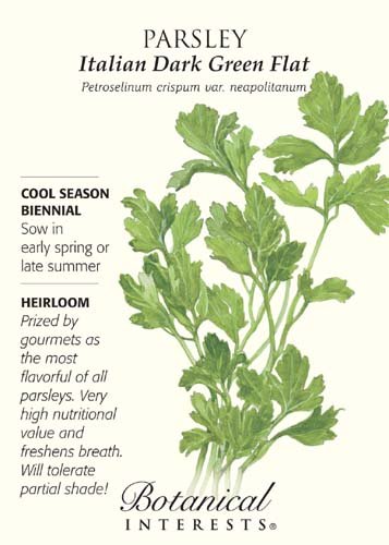 Italian Dark Green Flat Parsley Seeds - 2 grams