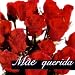 Mae Querida Mae Querid