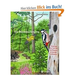 Ein Waldspaziergang: Entdecke �ber 120 Tiere und Pflanzen auf gro�en Suchbildern!