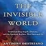 Angels All Around Us: A Sightseeing Guide to the Invisible World