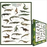 Crocodiles & Alligators 1000 Piece Jigsaw Puzzle Eurographics