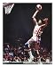Julius Erving New Jersey Nets 16x20 Autographed Photograph