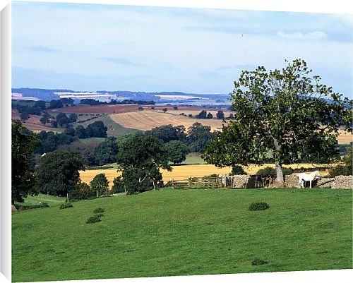 Canvas Prints of Cotswold countryside from Country Life 