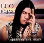 Spirit of the Hawk