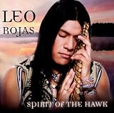 Spirit of the Hawk