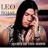 Spirit of the Hawk
