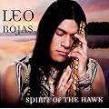 Spirit of the Hawk