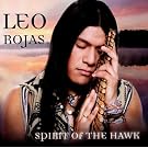 Spirit of the Hawk