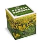 Daffodils Note Cube with Wordsworth Poem "Daffodils", Made in USA, 3.5" x 3.5", 700 non-sticky pages