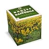 Daffodils Note Cube with Wordsworth Poem "Daffodils", Made in USA, 3.5" x 3.5", 700 non-sticky pages