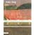Peter Doig