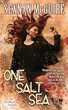 One Salt Sea