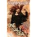 One Salt Sea