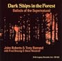 Dark Ships in the Forest