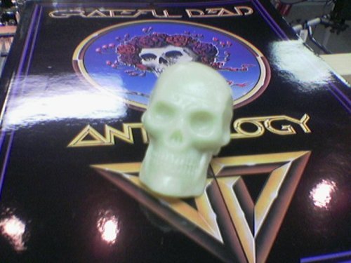 Bead Brain Skull Shaker, Glow In the Dark