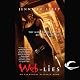 Web of Lies: Elemental Assassin, Book 2
