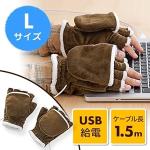 サンワダイレクト USBあったか手袋 Lサイズ 【めざましテレビで紹介！】 男性向け 400-TOY035L