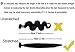 Wighairbeauty 6a Peruvian Straight Virgin Hair Unprocessed Virgin Peruvian Hair Cheap Human Hair Weaves 50g/1.76oz Bundle 2pc/set Total 100g