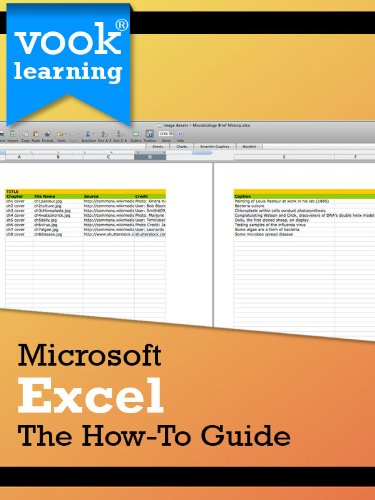 Microsoft Excel: The How-To Guide