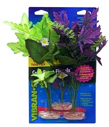 Vibran-Sea So. American Flowering Cluster Aquarium Plant Assortment