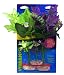 Vibran-Sea So. American Flowering Cluster Aquarium Plant Assortment