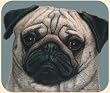 Fiddlers Elbow-PUG MOUSE PAD