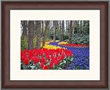 Review ArtToFrames  / 8x10 / 8 x 10 Picture Frame Mahogany .. 2'' wide