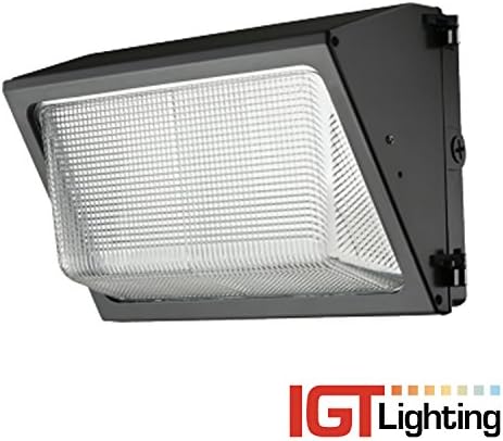 IGT Lighting 40W LED Wall Pack 5000K Daylight 3900 Lumens Wet Location Rated Security Light (5-Year Warranty)