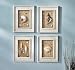 Framed Seashells Coastal Beach Wall Art By Collections Etc
