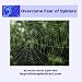Overcome Fear of Spiders